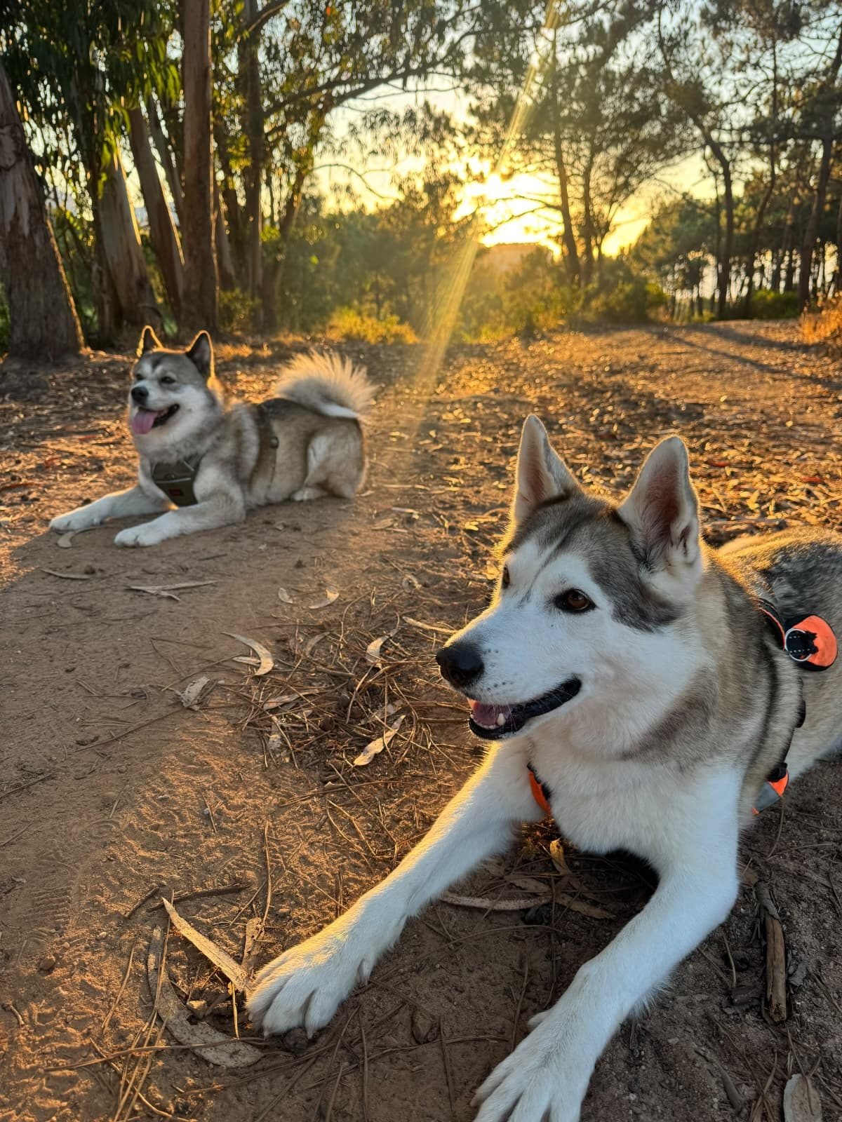 Winter and Elli