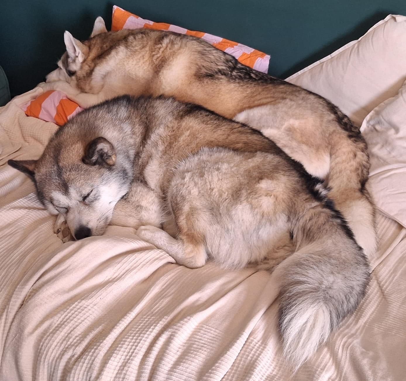 Winter and Elli