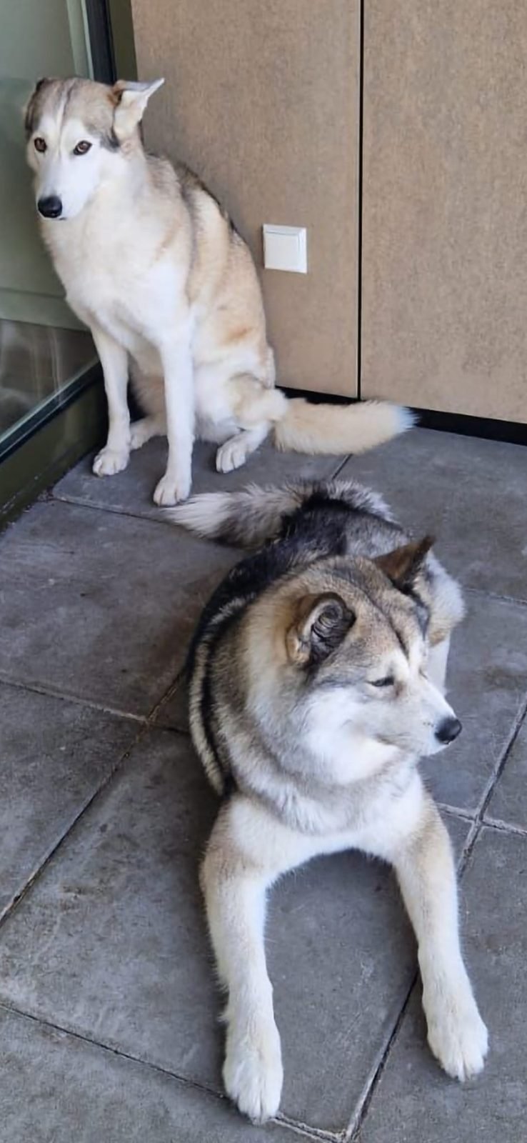 Winter and Elli