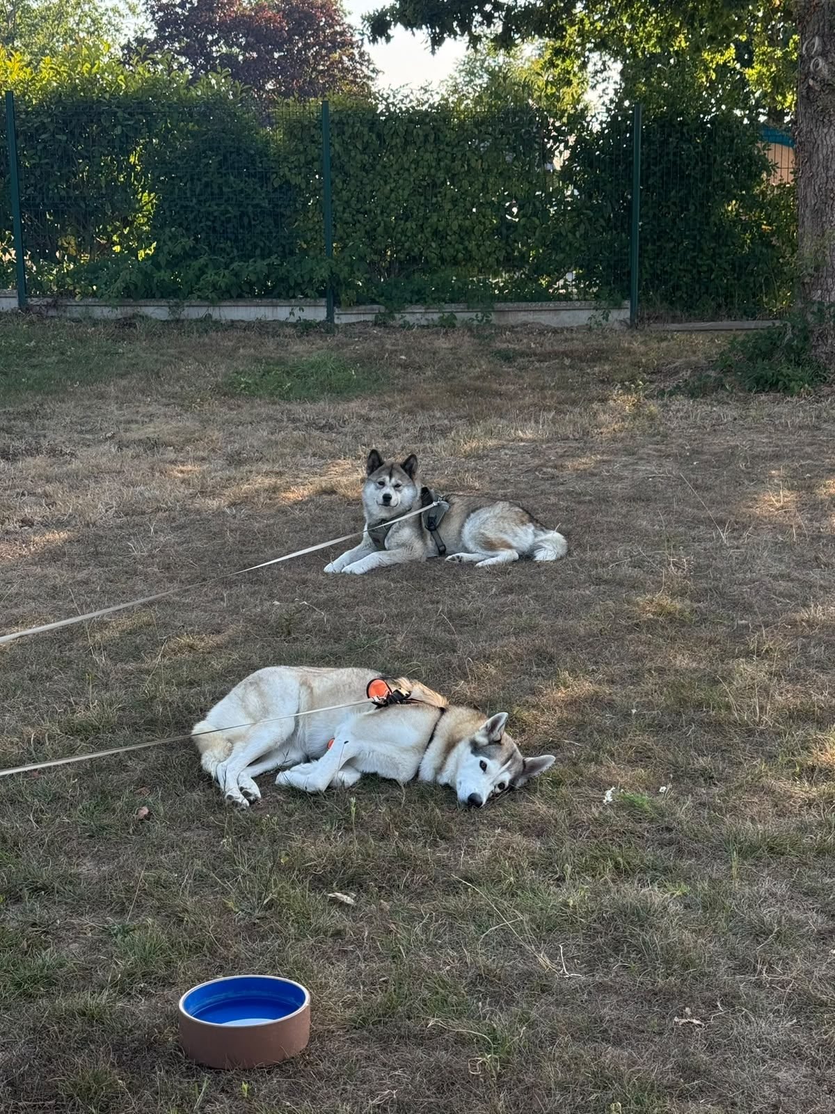 Winter and Elli