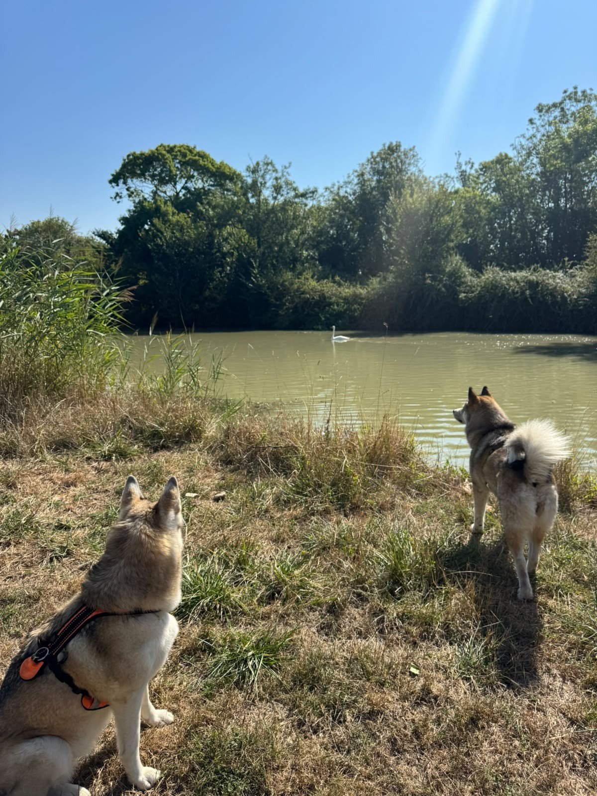 Winter and Elli